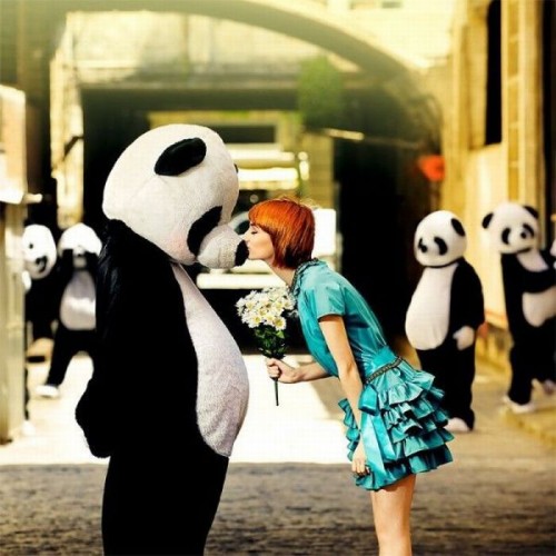 Веселая жизнь