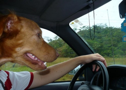 Правильный момент