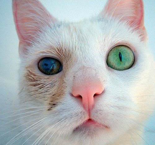 Почему мне так плохо?