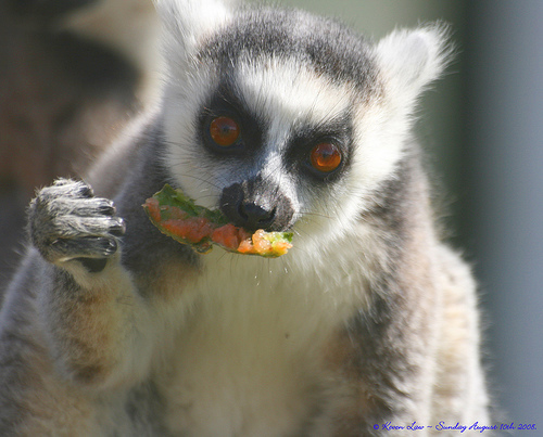 Подойдешь ближе, чем на метр, получишь в это самое ушко