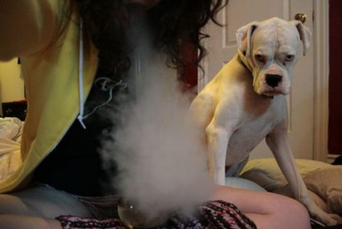 Подборка фотоприколов