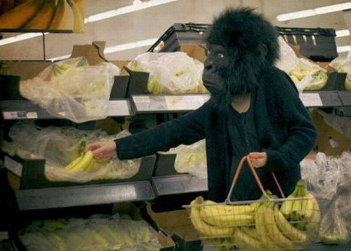 Забавные фотоприколы