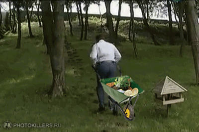 Янукович и пеньки (gif)