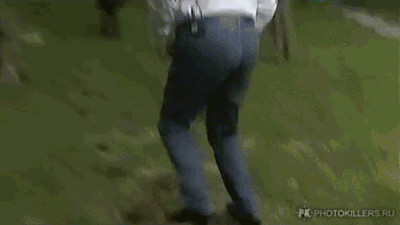 Янукович и пеньки (gif)