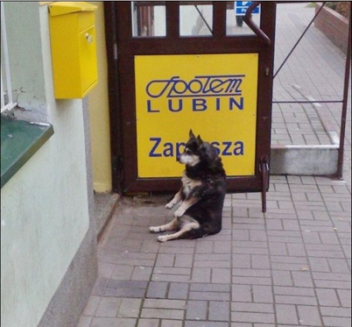 Ты заходи, если что!