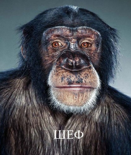 Работники офиса