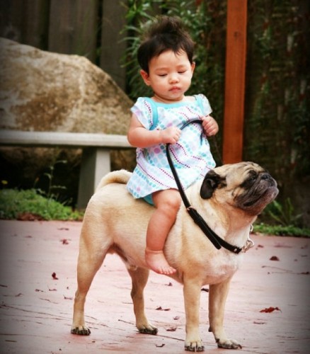 Но!! лошадка!