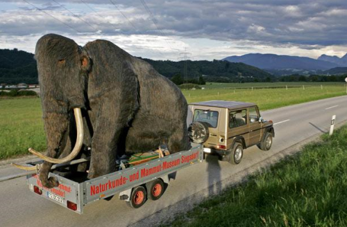 Сервис по перевозки Мамонтов