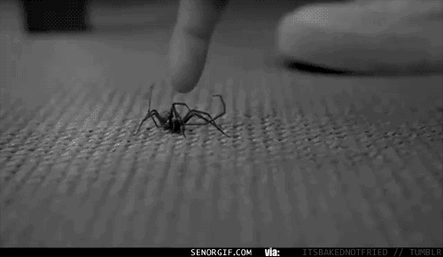 Супер - паук