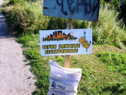 красавчики!