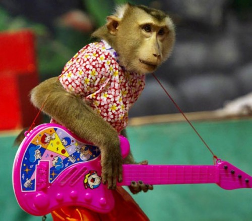 Обезьяний театр в Таиланде
