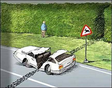 Авто карикатуры