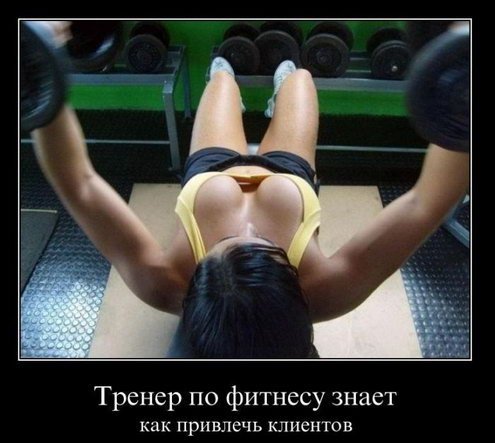 Демотиваторы