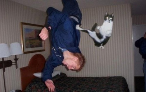 Пикантные моменты