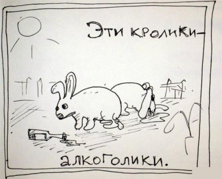 2011- год кролика-алкоголика