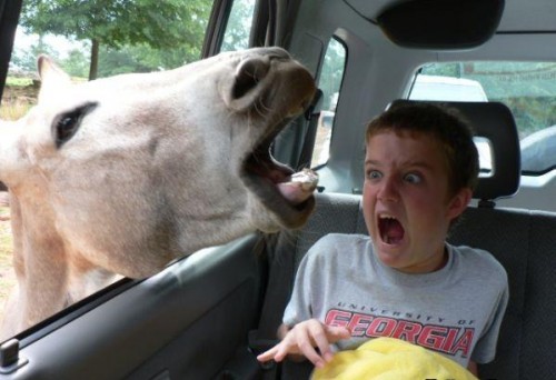 Нежданный кадр