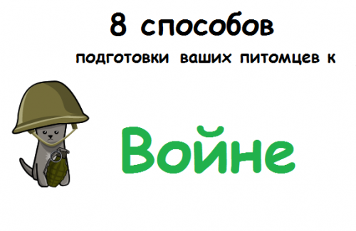 8 способов подготовки питомцев к войне