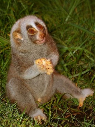 господи, ну убери ты от меня этого горе-фотографа!