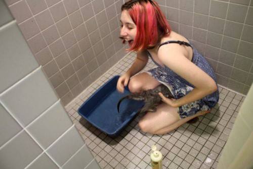 Фотоприколы с юмором