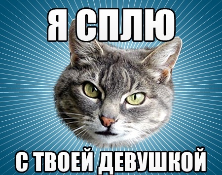 Классический кот