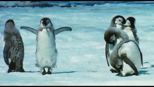 Живые фотографии (gif)