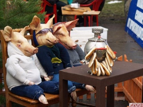 Фотоприколы из жизни