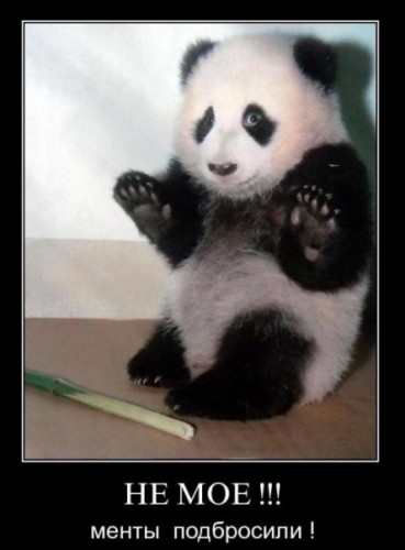 Лучшие демотиваторы