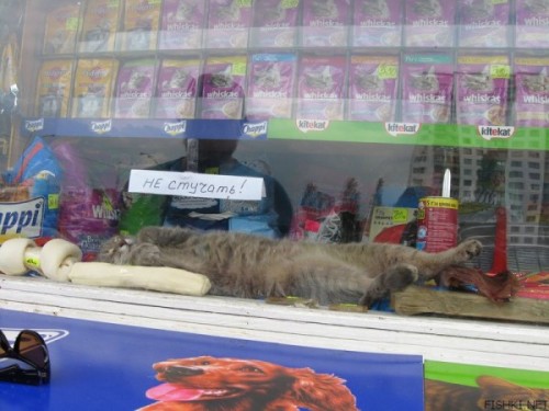 Дайте поспать!