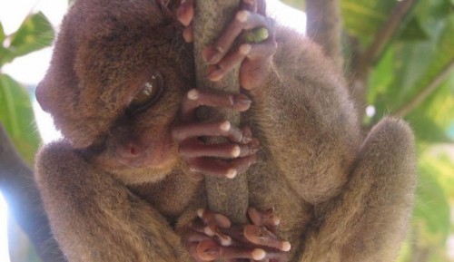 Еще одна фотка, и ты труп