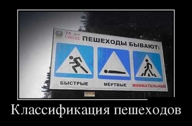 Веселый авто демотиватор