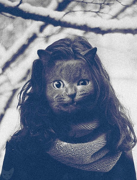 Подборка крутых котэ