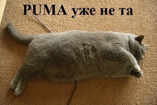 Пума уже не та