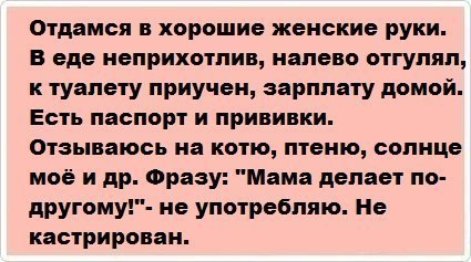 Прикол про завидного жениха