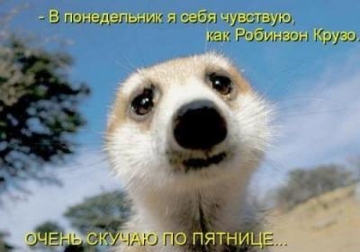 Верните пятницу