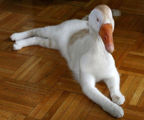 Тяжелая наркомания