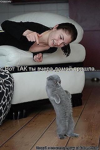 Котэ няшка-пьяняшка