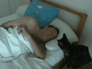 Прикольные гифки