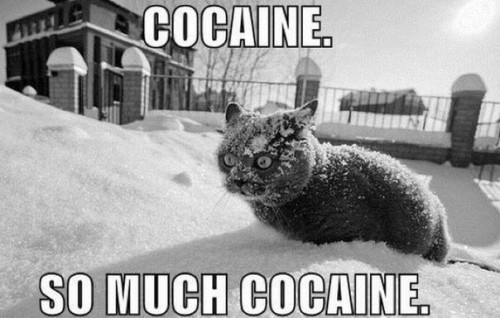 Отпадные котоматрицы