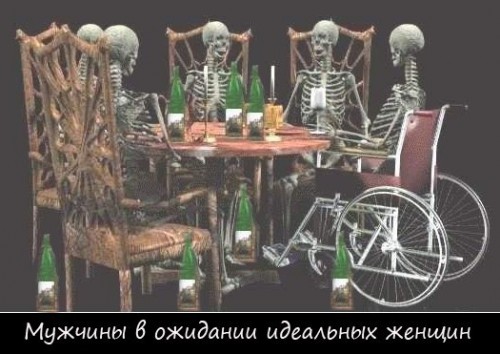 Прикол про идеальных женщин
