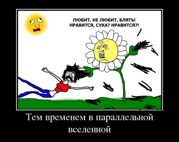 Демотиватор про параллельную вселенную