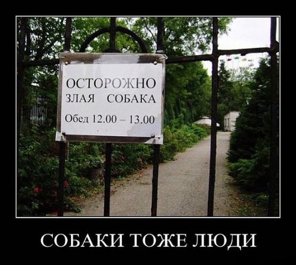 Демотиватор про собаку