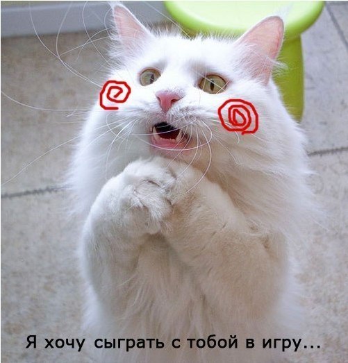 Прикол про кота - пилу