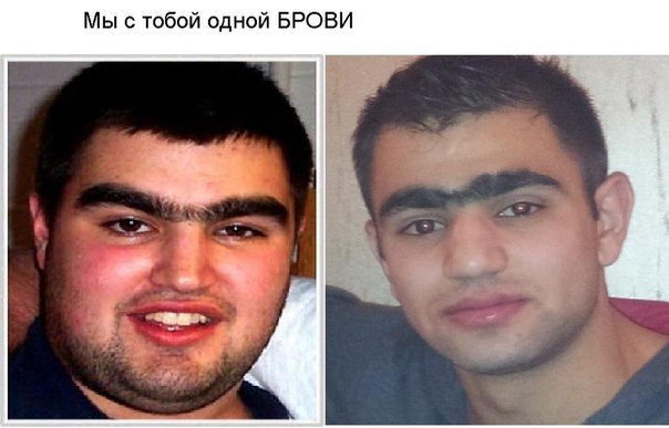 Прикол про брови