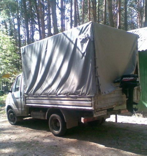 Газель амфибия