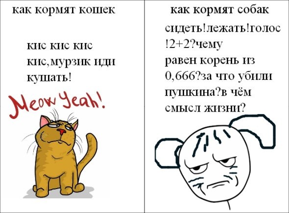 Комикс про котов и собак