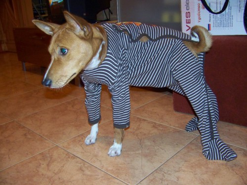 Сирота Казанская 