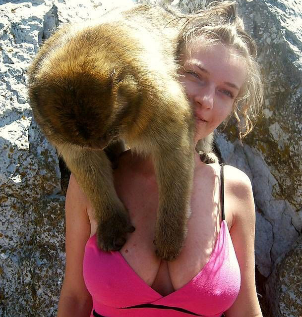 Макака все правильно сделала