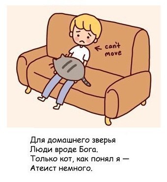 Правдивая картинка про котов