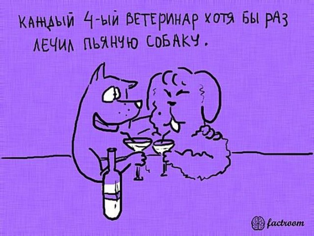 Веселые факты обо всем на свете