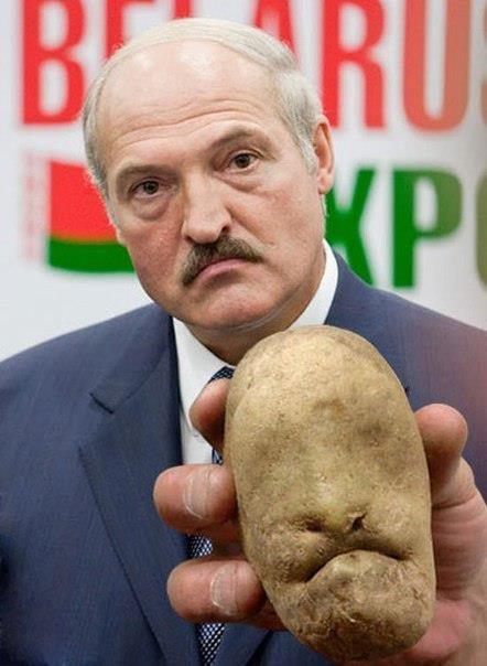 Лукашенко и его картошка